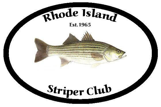 RISC LOGOt
