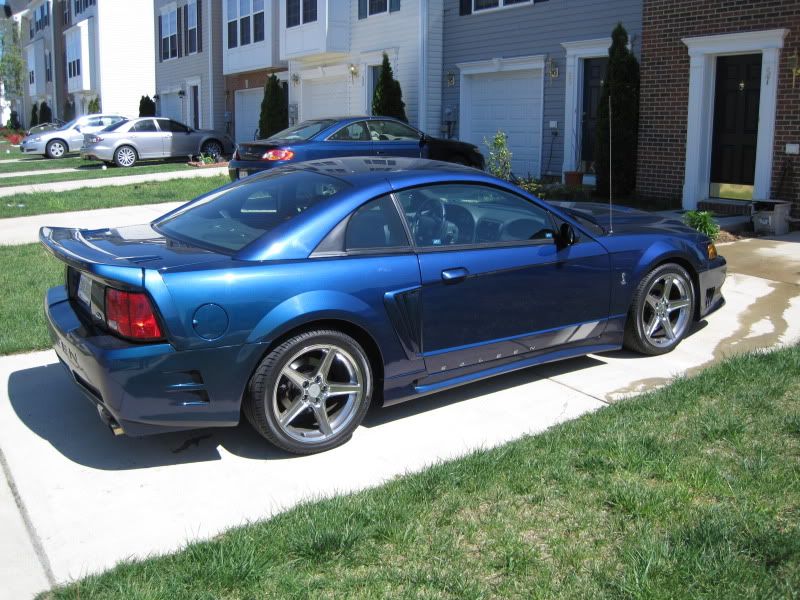 [Image: IMG_0003.jpg]