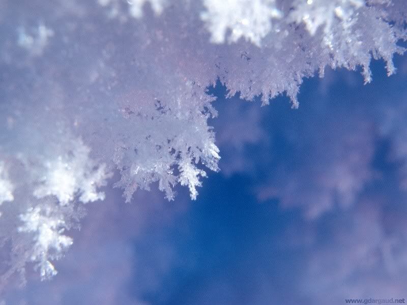 Snow Crystal Wallpaper