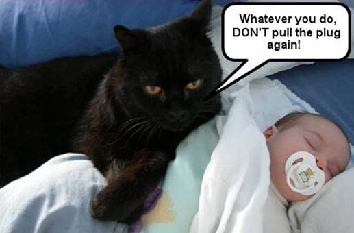 animal_pics_-_061.jpg funny image by Luvscollies