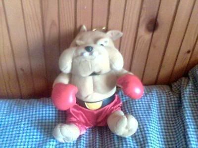 Photo Sharing and Video Hosting at Photobucket