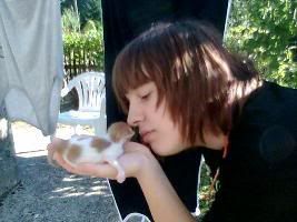 Photo Sharing and Video Hosting at Photobucket