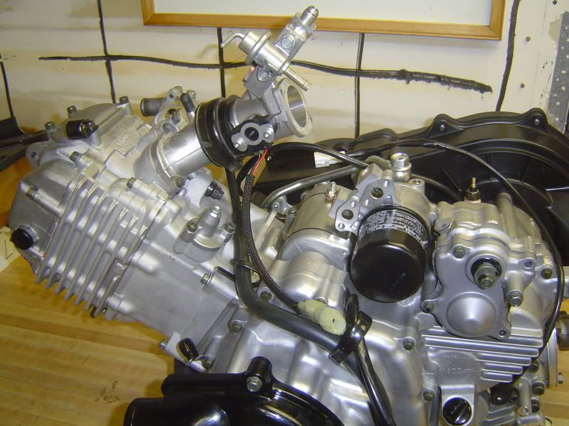 EFI conversions Yamaha Rhino Forum