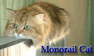 monorail_cat.gif