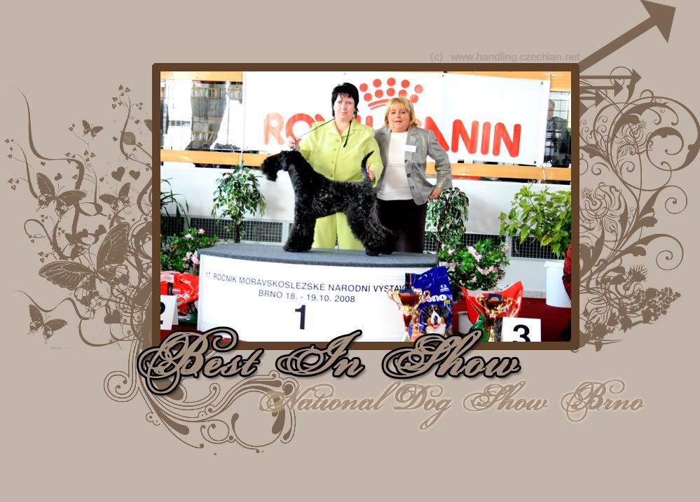 titulka.jpg picture by laplyyy