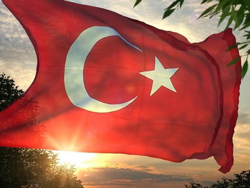 bayrak4gtza9.jpg