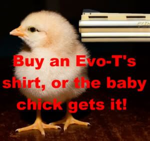 Chick in danger