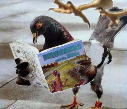 pigeon_reading_dino_talons.jpg Pigeon reading image by evolutionist65