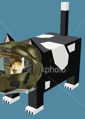 ist2_2051654_square_cat.jpg