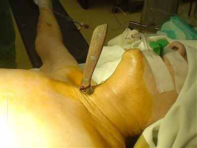 phpThumb_generated_thumbnailjpg.jpg