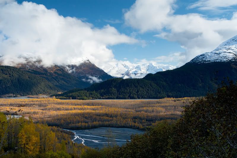 IMAGE: http://i122.photobucket.com/albums/o247/dphillips81/6227313647_7c0b98cdeb_b.jpg