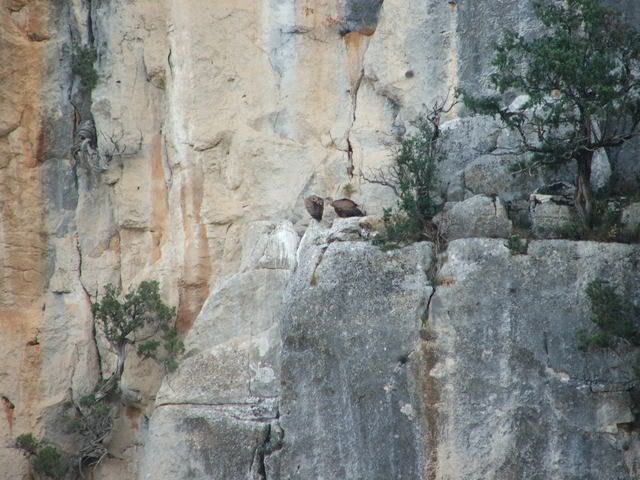 Cazorlanovembre2007168.jpg