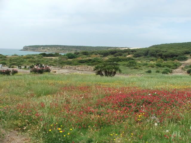 TARIFA2007009.jpg