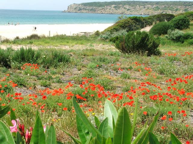 TARIFA2007013.jpg