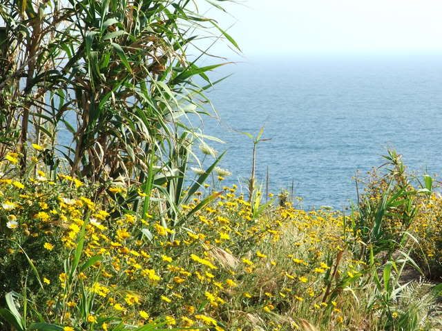 TARIFA2007054.jpg