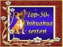 Hier gehts zur Topliste der 50 Besten Chihuahuaseiten