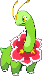 megsssc.png