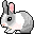 Rabbits_Little_rabbit_2_prv.gif