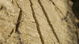 http://i122.photobucket.com/albums/o251/maul2/th_11_06_13_Tree001_zpscd1f9333.png