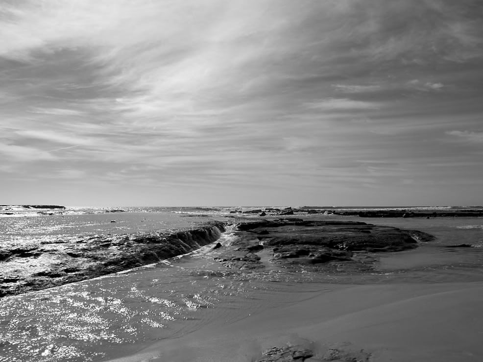 _1000302a_resized-1.jpg