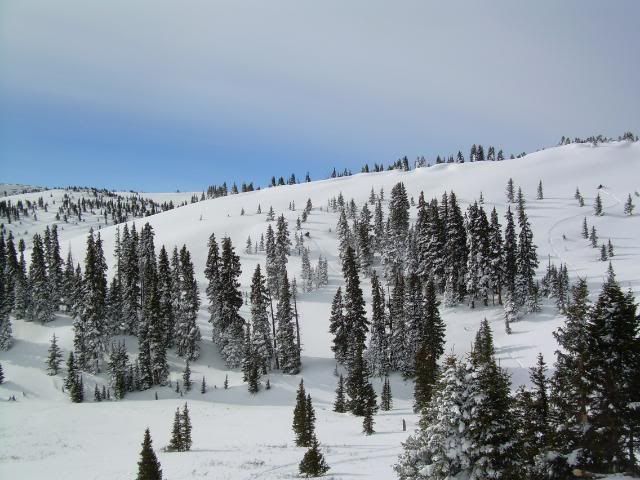 WolfCreekdec08004.jpg