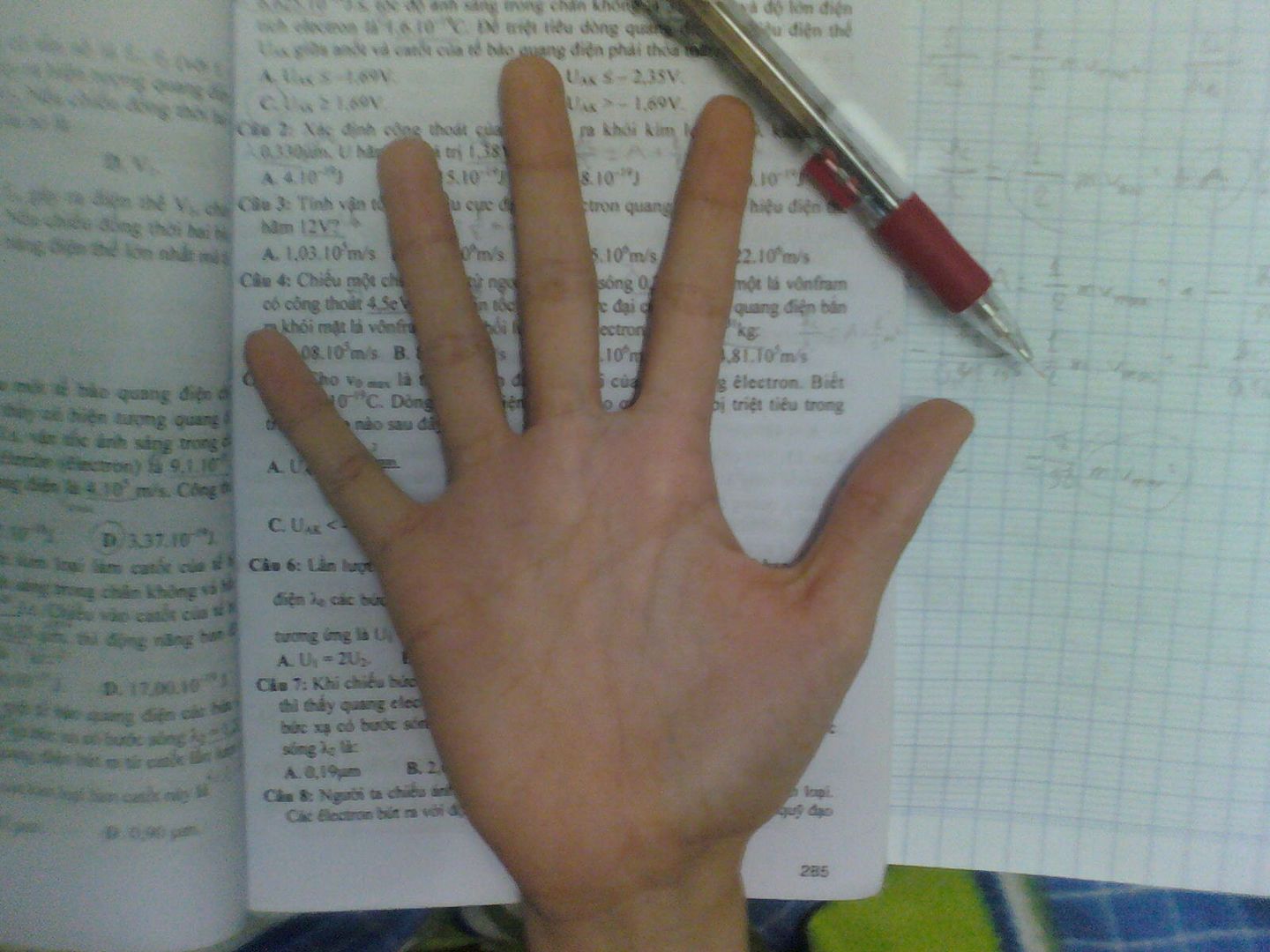 Nhờ cao nhân 5giay xem tướng qua bàn tay giúp em với hi hi - 1