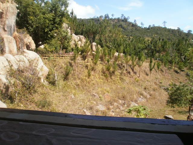 Show hình chơi Tết - 20