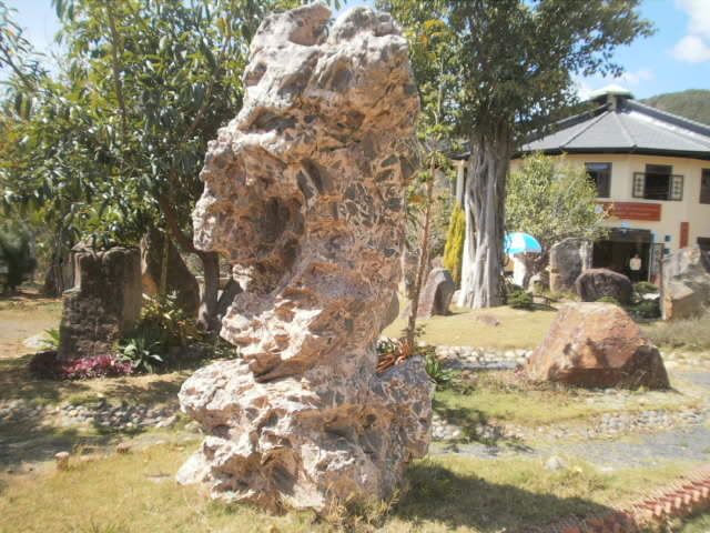 Show hình chơi Tết - 25