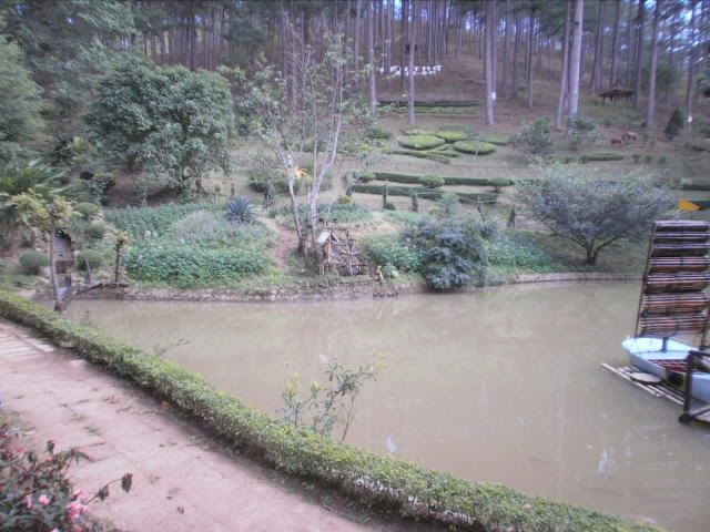 Show hình chơi Tết - 6