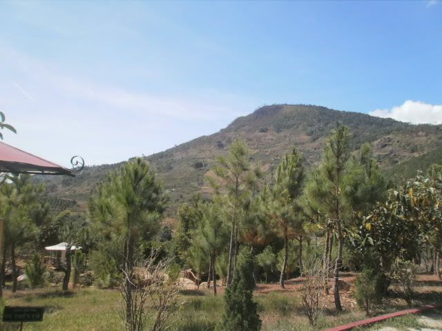 Show hình chơi Tết - 30