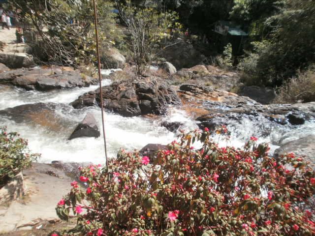 Show hình chơi Tết - 30