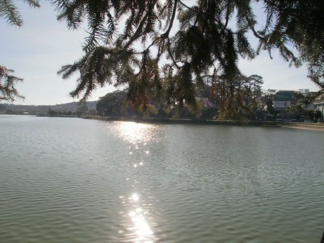 Show hình chơi Tết - 13