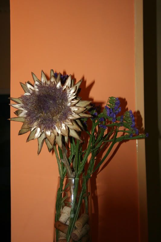 Immagine059.jpg