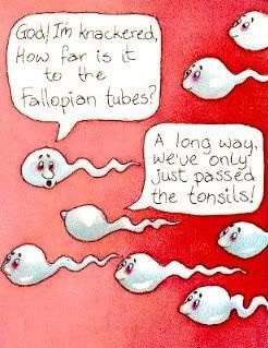 Sperm.jpg