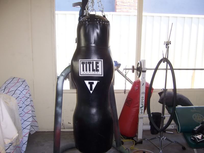 grappling heavy bag