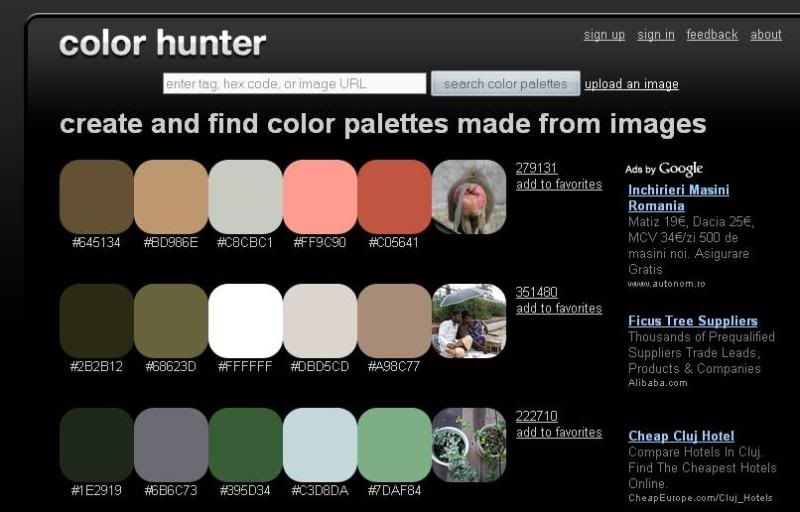 Color Hunter - Crea la paleta de colores de tus fotos