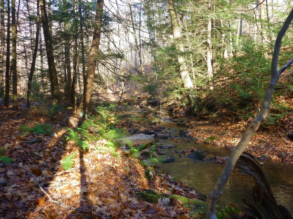 Laurel Highlands trout trail and more, Goxplore