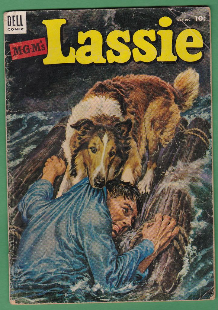 Lassie%2013_zpsjyertcy3.jpg