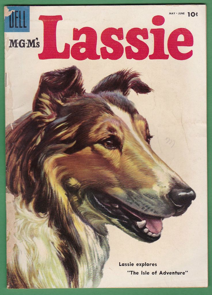 Lassie%2022_zpsnazxzw8u.jpg