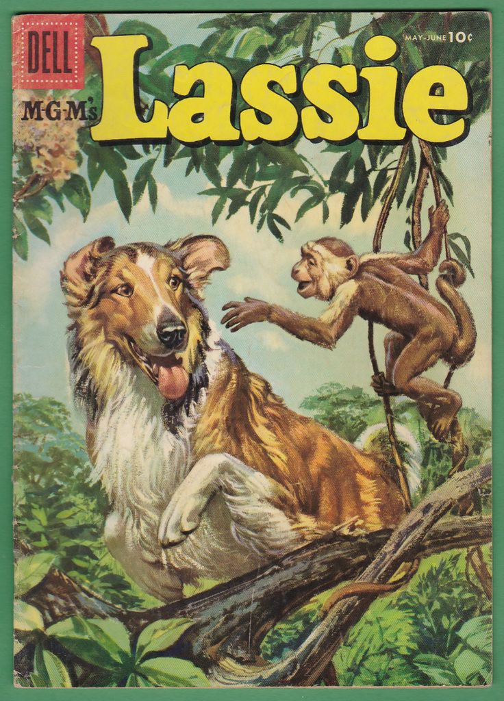 Lassie%2028_zpsjyzzlbia.jpg