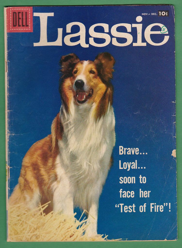 Lassie%2037_zpslkdgp1zn.jpg