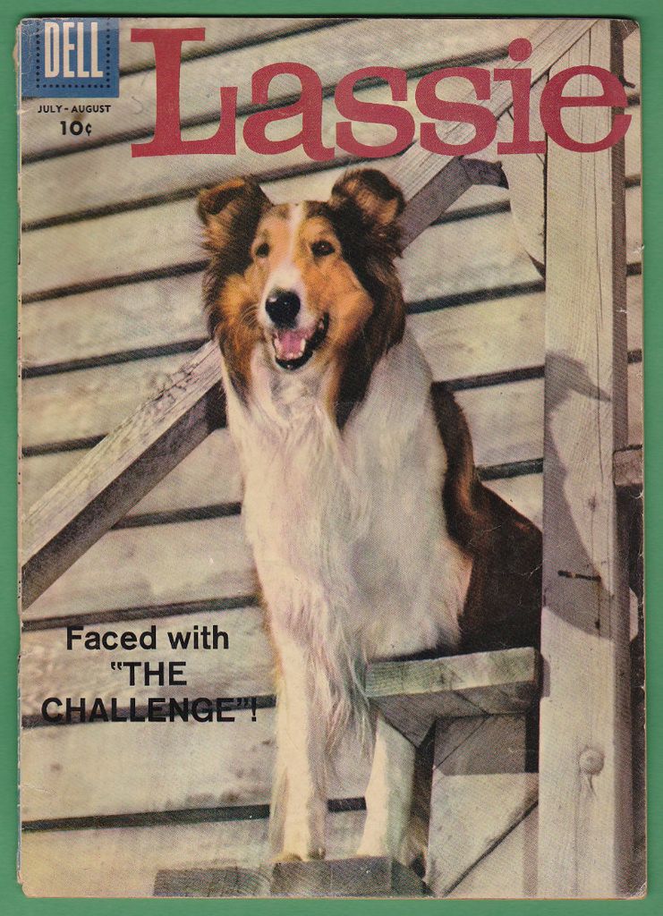 Lassie%2041_zpse76kauci.jpg