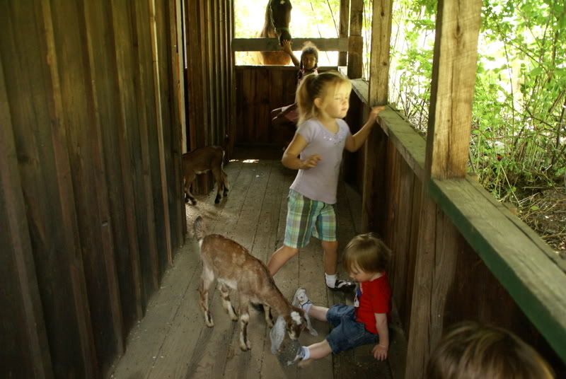 Let's see some pictures of your place... - Homesteading Questions