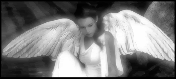 lil angel wings