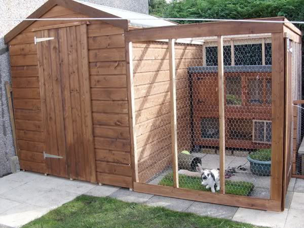 Rabbit Shed Designs