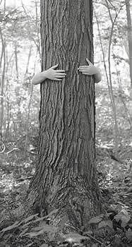 b&w treehugger