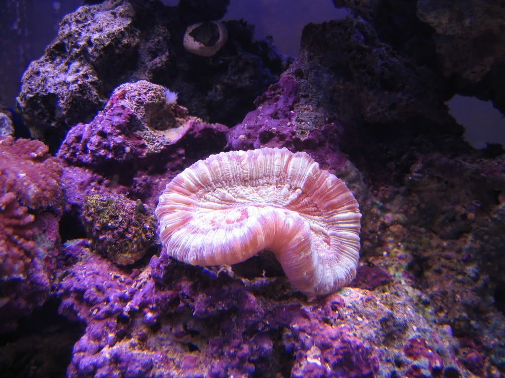 aquarium128.jpg