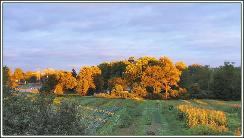 IMAGE: http://i122.photobucket.com/albums/o268/R-Ticle_One/RunoutsideFramed.jpg