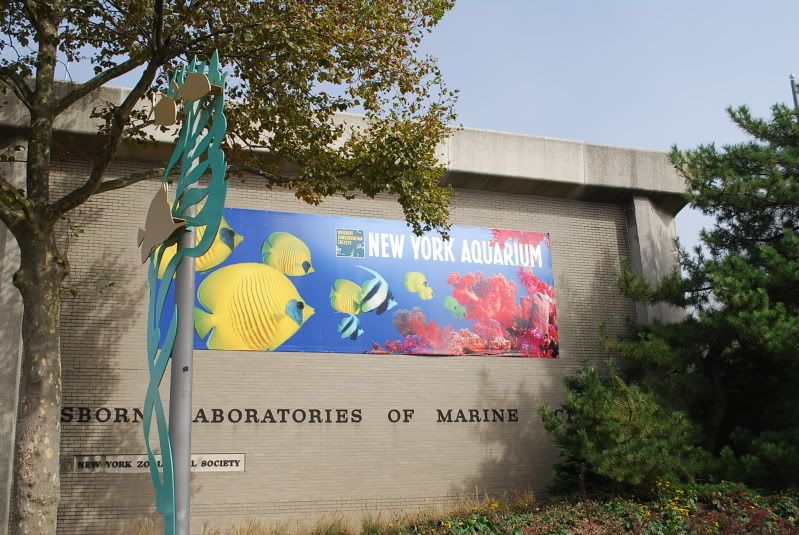 NY Aquarium