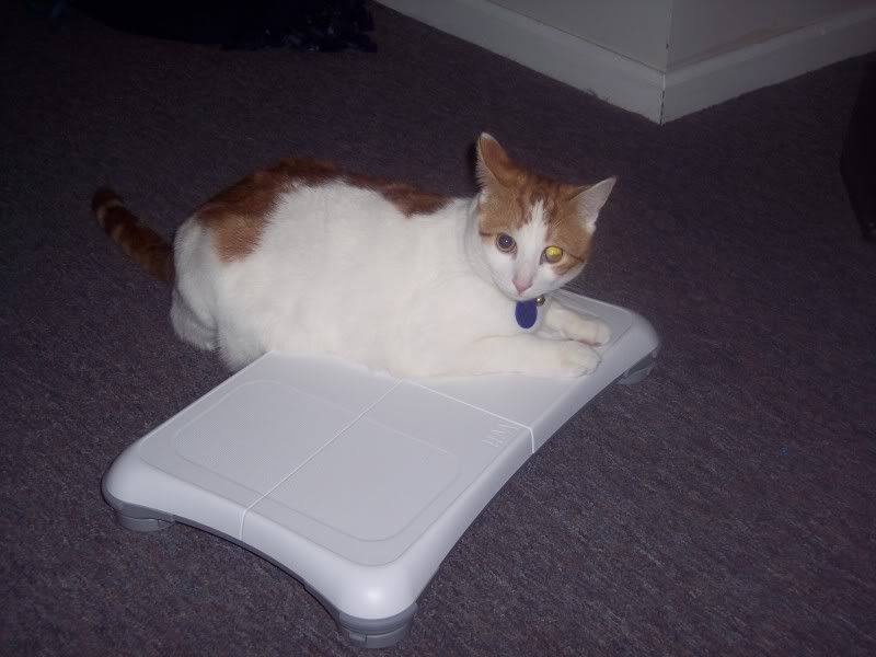 Harley is WII Fit!